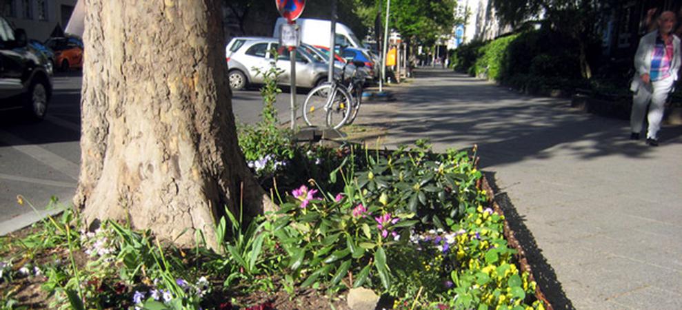  (Bild: Mygreentown urban gardening Blog)