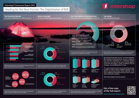 Digitalisierung im B2B-Handel (Stand 2015) (Bild: Intershop)