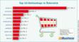 Top 10 der sterreichischen Onlineshops 2013