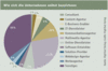 Preview von Business:Dienstleister:Multimedia Service Ranking 2003:Wie sich die Interaktiv-Branche selbst nennt