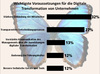 Preview von Wichtigste Vorausetzungen fr die Digitale Transformation von deutschen Unternehmen