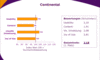 Preview von Business:Publishing:Analyse des Webauftrittes des Reifenherstellers Continental