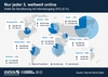 Preview von Anteil der Weltbevlkerung mit Internetzugang