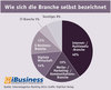 Preview von Wie sich die deutsche Interaktiv-Branche selbst bezeichnet - 2014