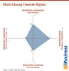 Preview von EMail-Lsung Cheetah Digital