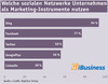 Preview von Interaktiv-Dienstleister-Marketing-Umfrage 2012 - Welche sozialen Netzwerke nutzen sie?