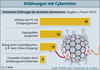 Preview von Erfahrungen deutscher Internetnutzer mit Cybercrime