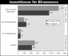 Preview von Online:Internet:Electronic Commerce:Nutzer:Investitionen fr E-Commerce