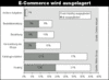 Preview von Online:Internet:Electronic Commerce:Handelsplattformen:Unternehmen - E-Commerce wird ausgelagert