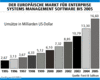 Preview von Software:Management Software:Der europische Markt fr Enterprise Systems Managment Software bis 2005