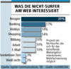 Preview von Online:Internet:Nutzer:Was die Nicht-Surfer am Web interessiert