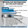 Preview von Business:Betriebliche Weiterbildung:Pro-Kopf-Budget der Unternehmen